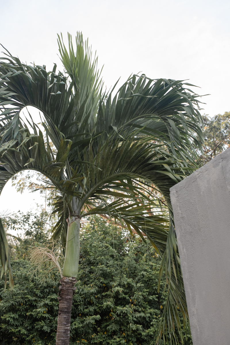 Hix Island House Vieques Island PR