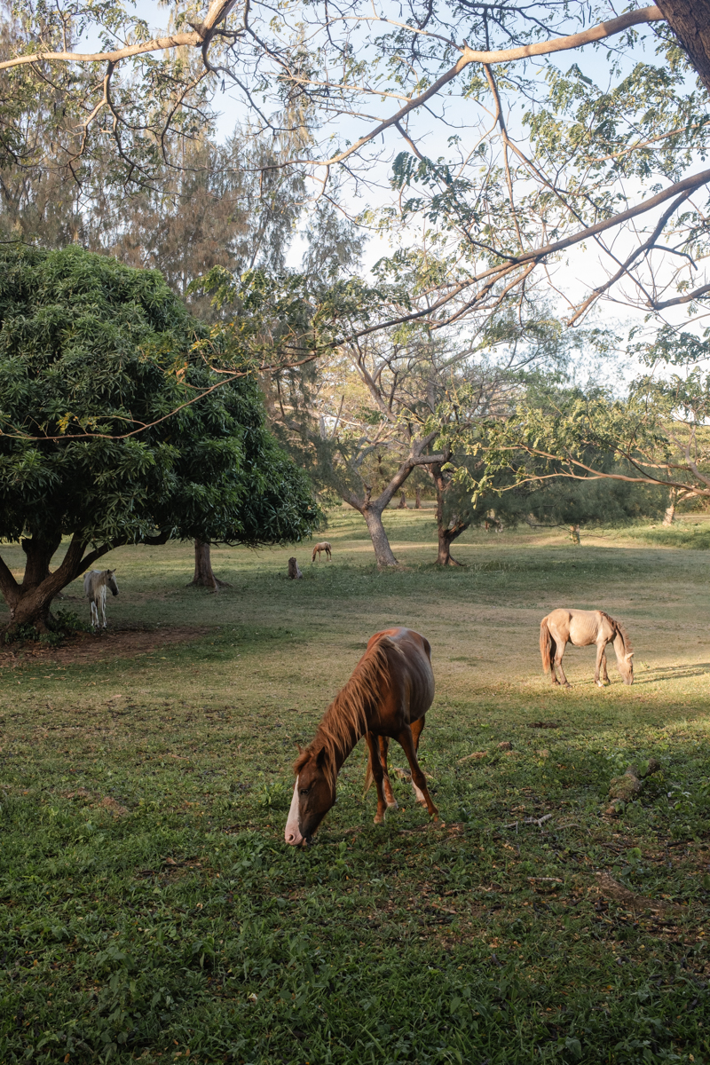 Hix Island House Vieques Island PR