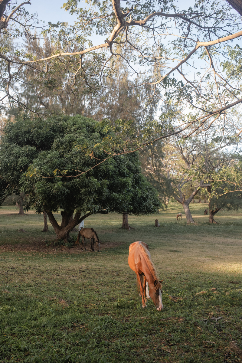 Hix Island House Vieques Island PR