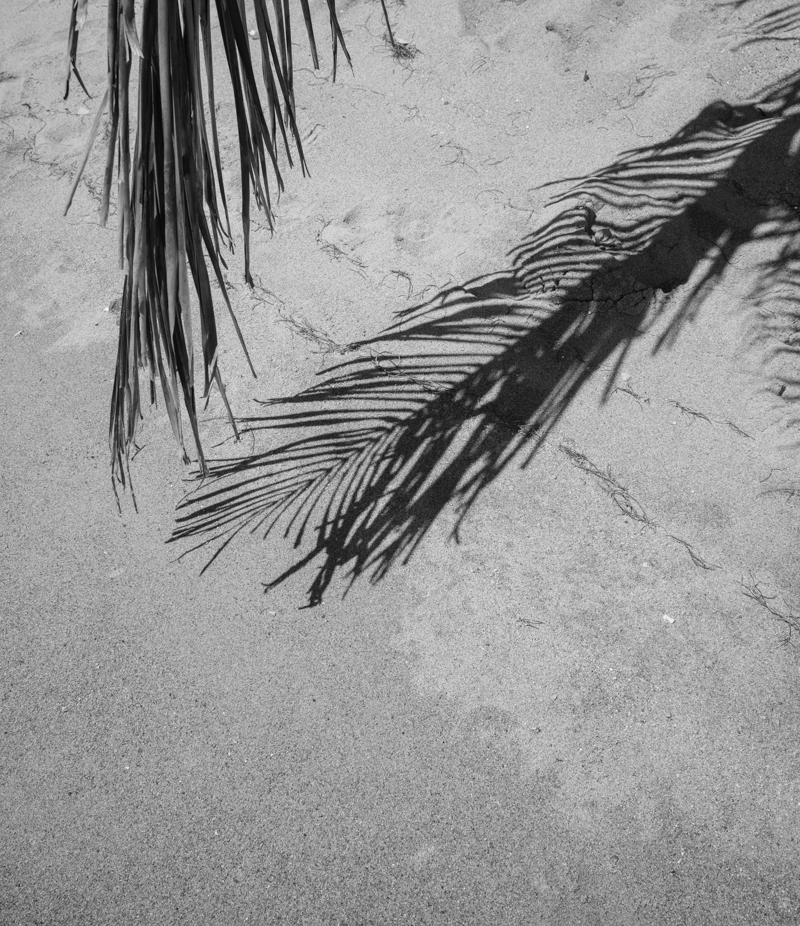 Vieques Island Beaches