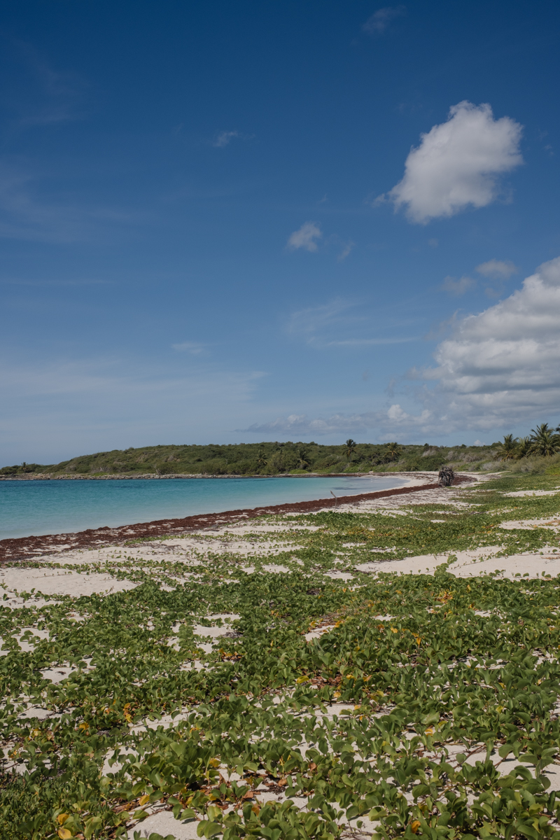 Vieques Island