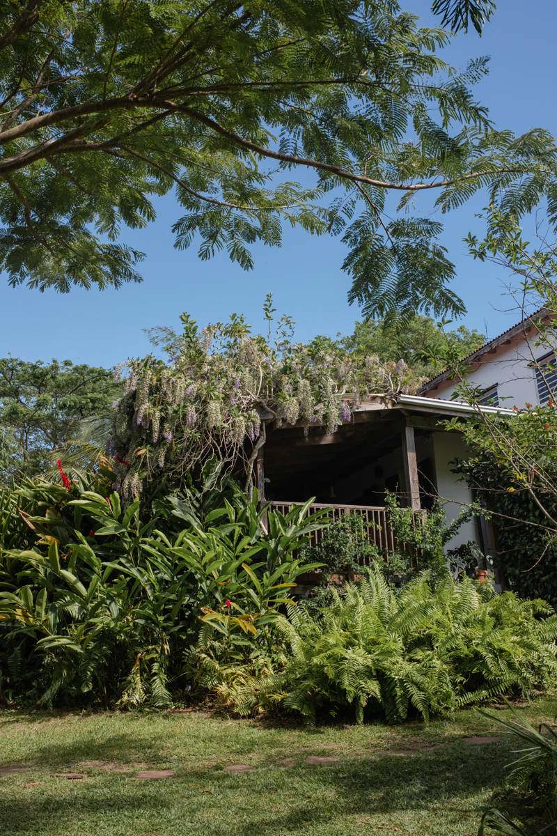 Finca Victoria Puerto Rico Treehouse