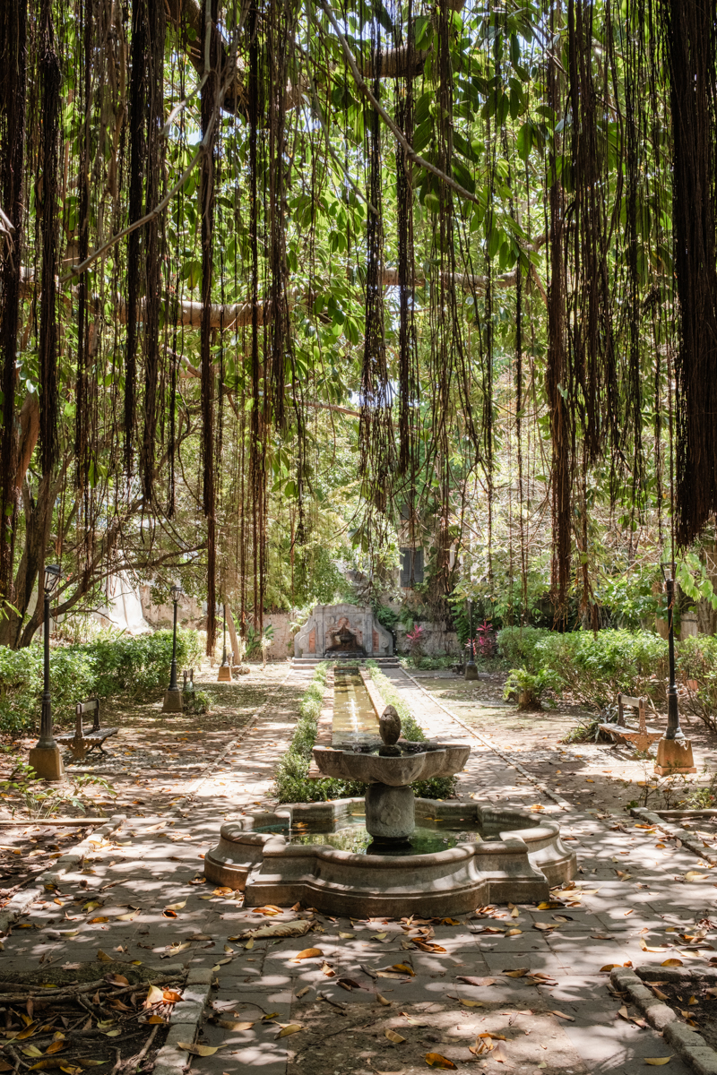 Private garden San Juan wedding photos