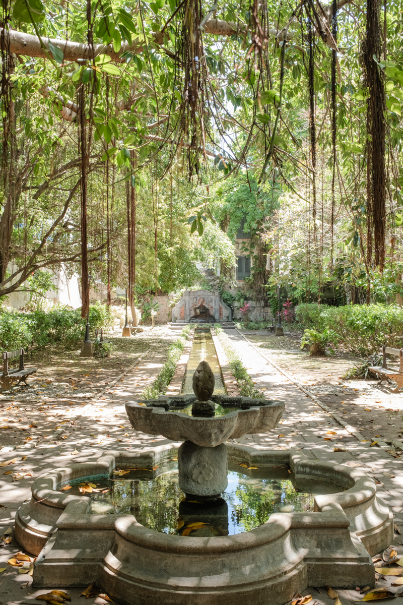 Private garden San Juan wedding photos