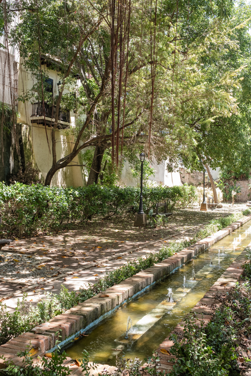 Private garden San Juan wedding photos