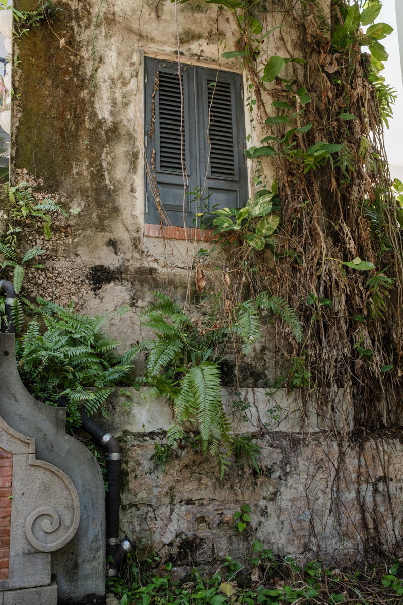Private garden San Juan wedding photos