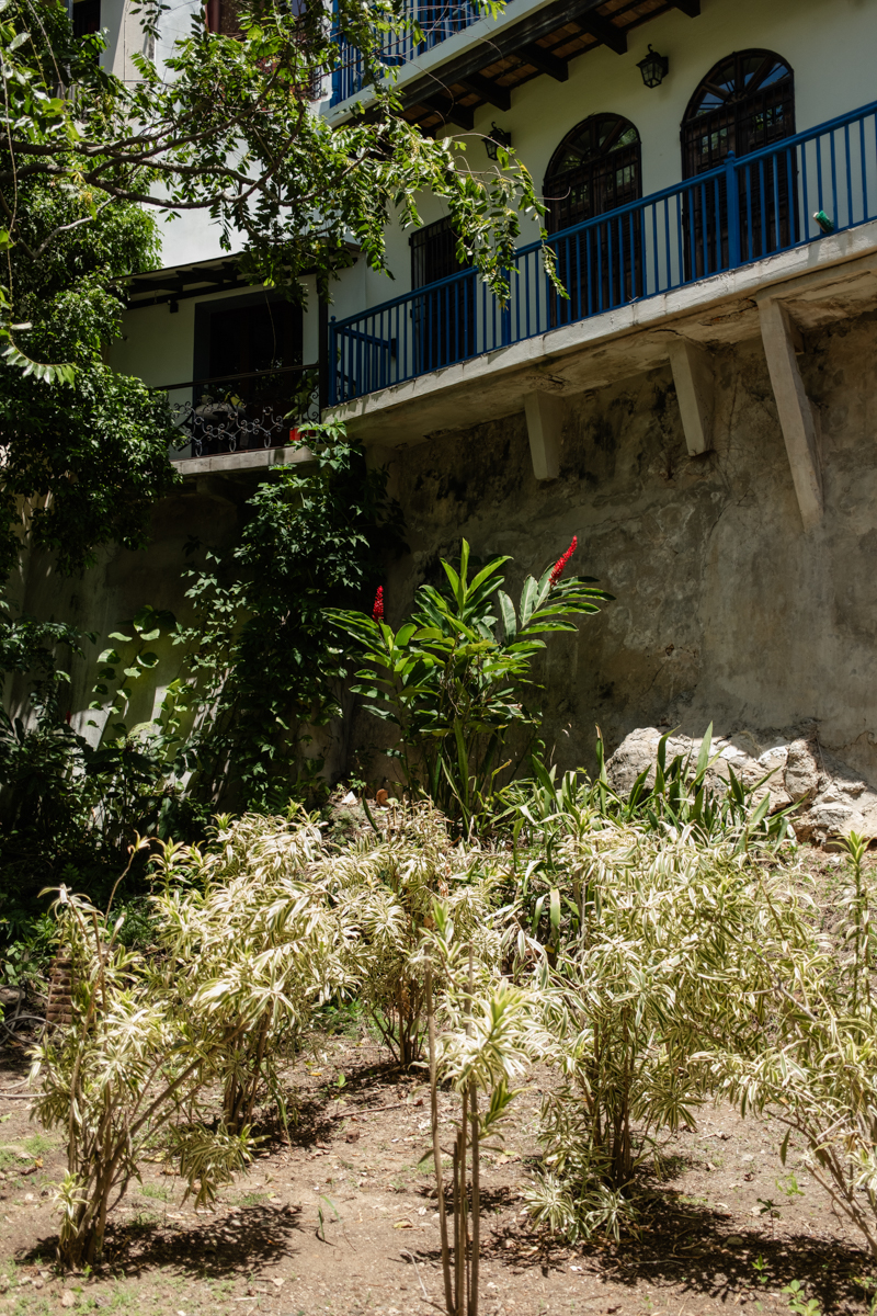 Private garden San Juan wedding photos