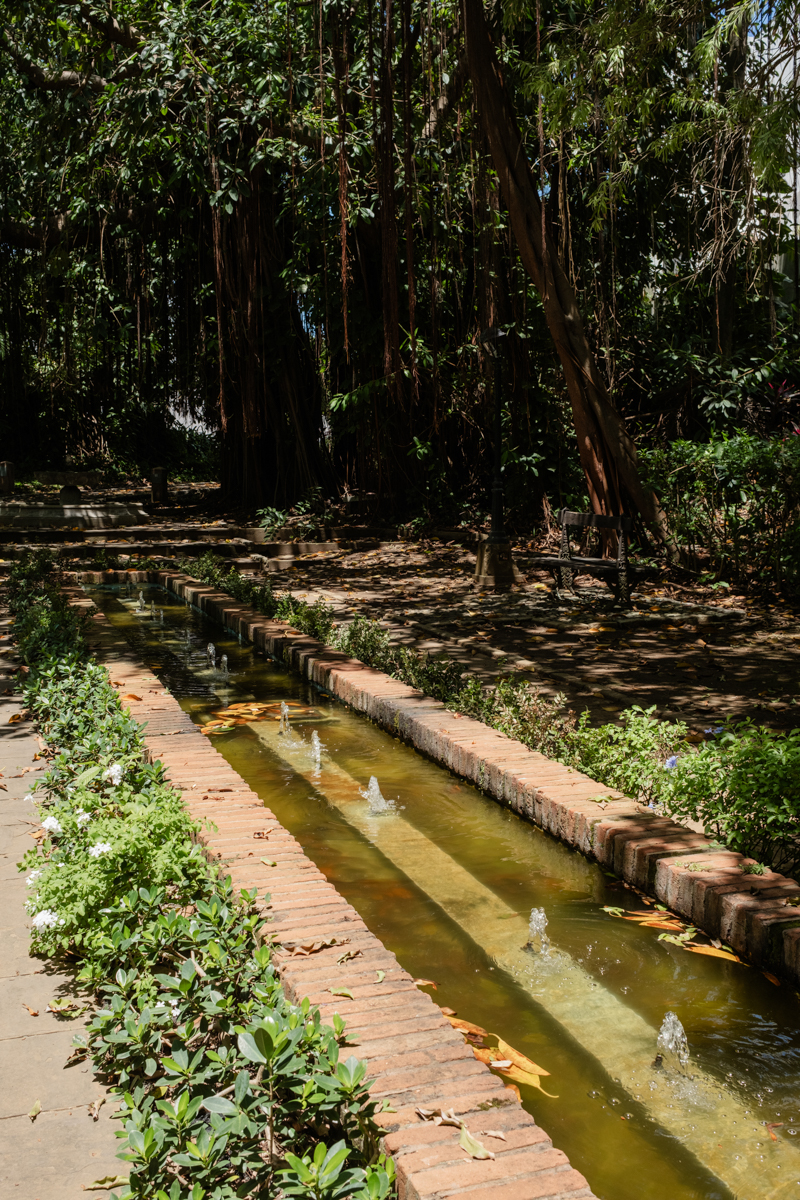 Private garden San Juan wedding photos