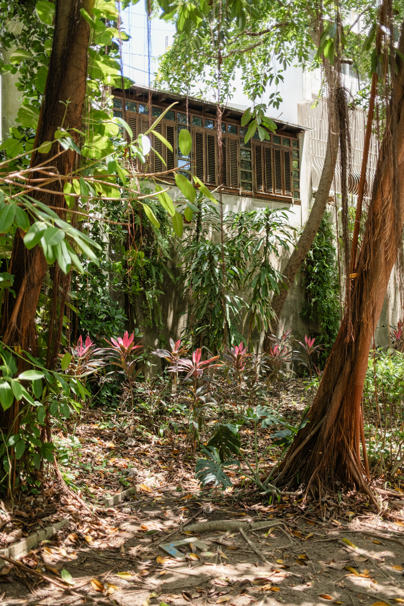 Private garden San Juan wedding photos