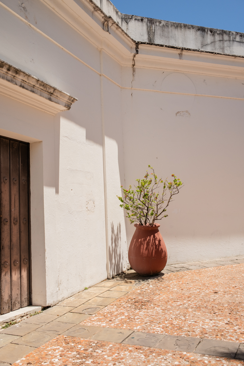 Private garden San Juan wedding photos