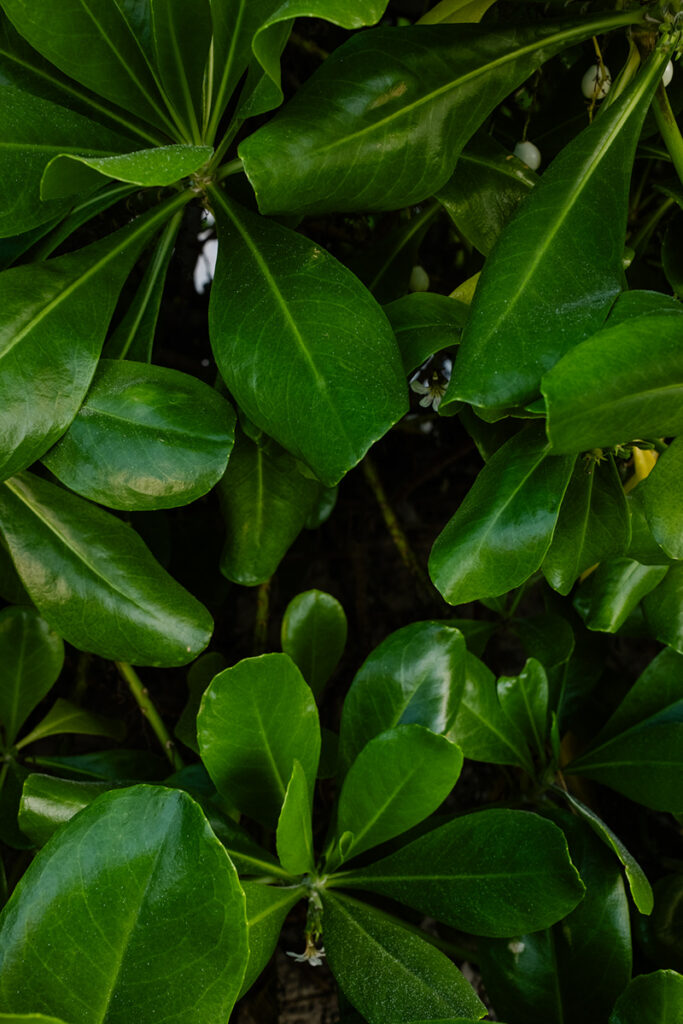 Tulum travel photography