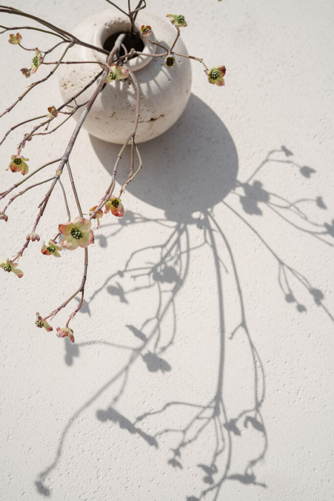 Amangiri corporate photographer