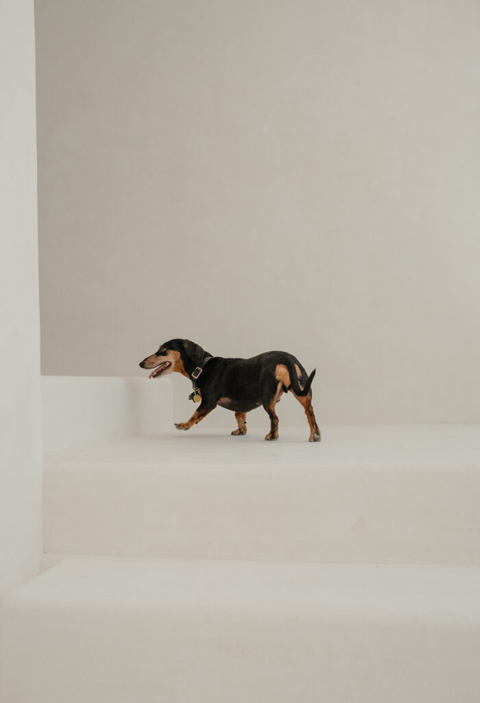 Tulum interior photographer