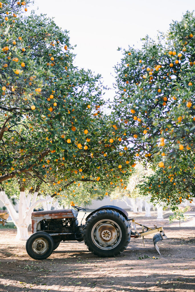 Scottsdale Event Photographer