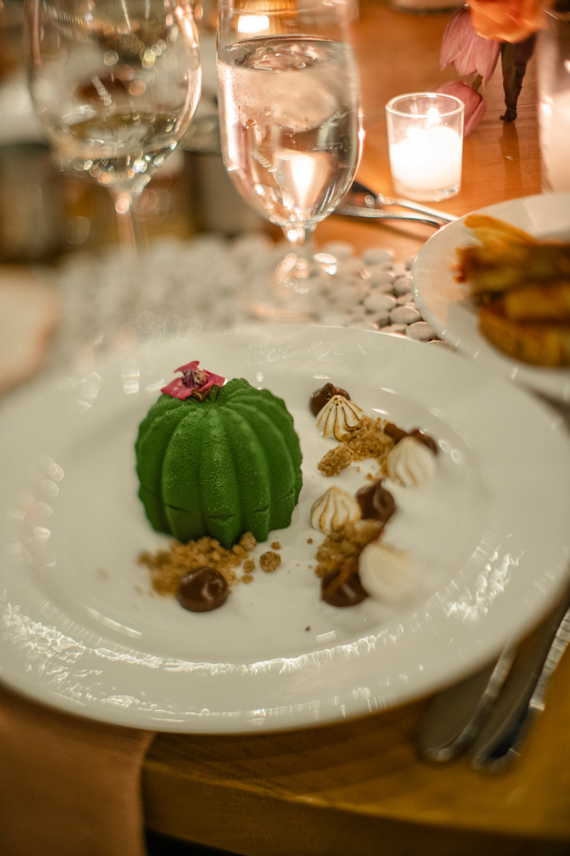four seasons cactus desert