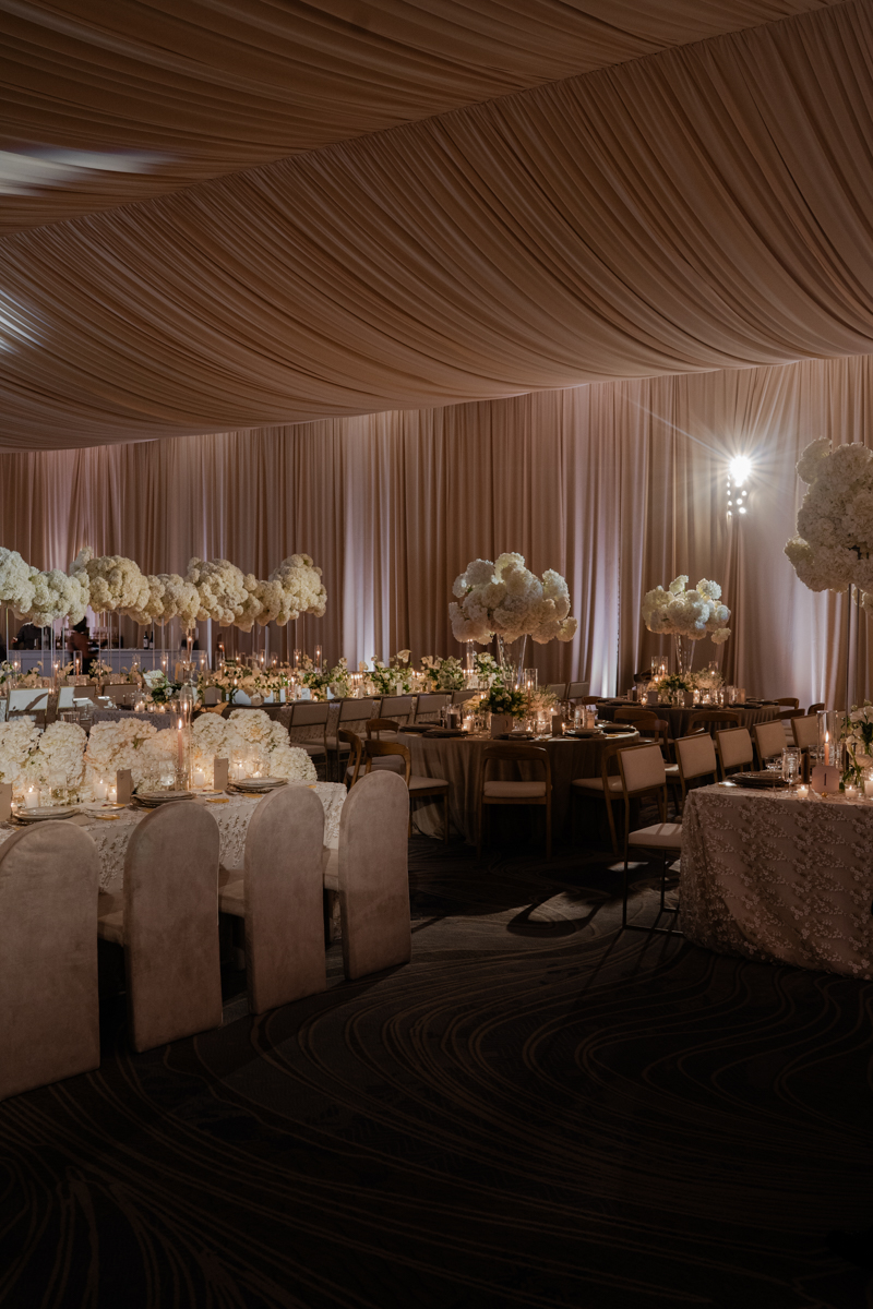 draped four seasons resort