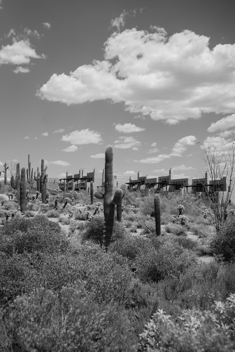 four seasons scottsdale