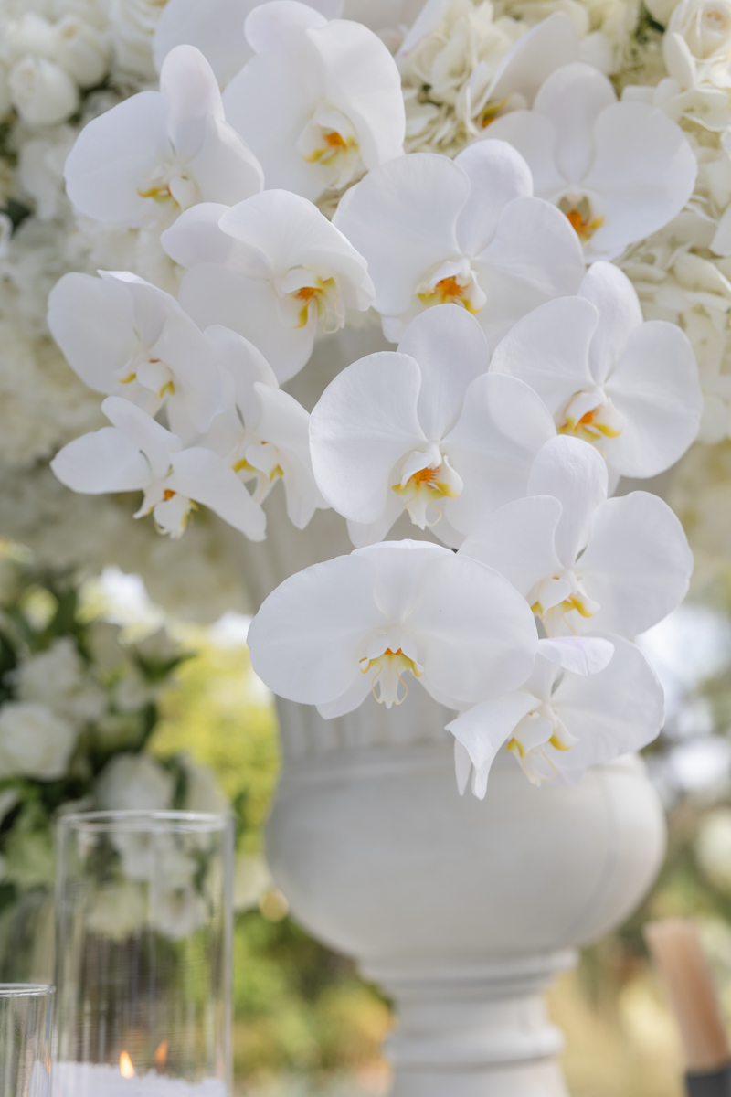 white orchid florals at bar