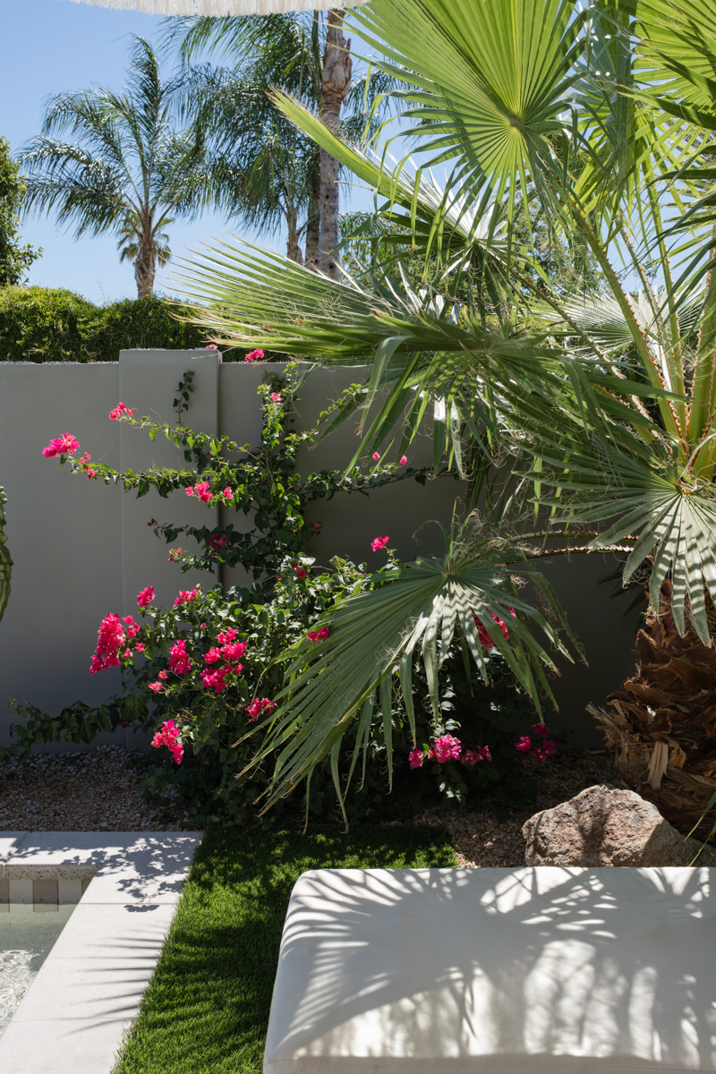 Phoenix Outdoor Aesthetics Home Tour
