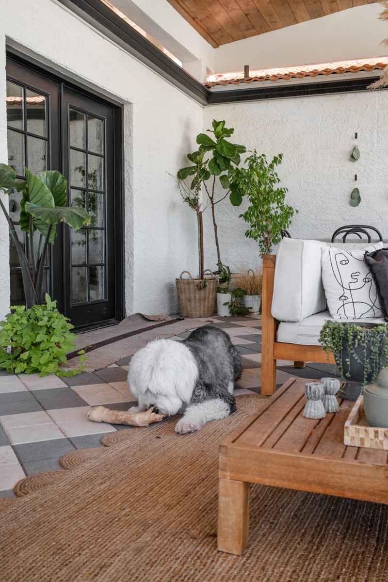 modern Spanish backyard