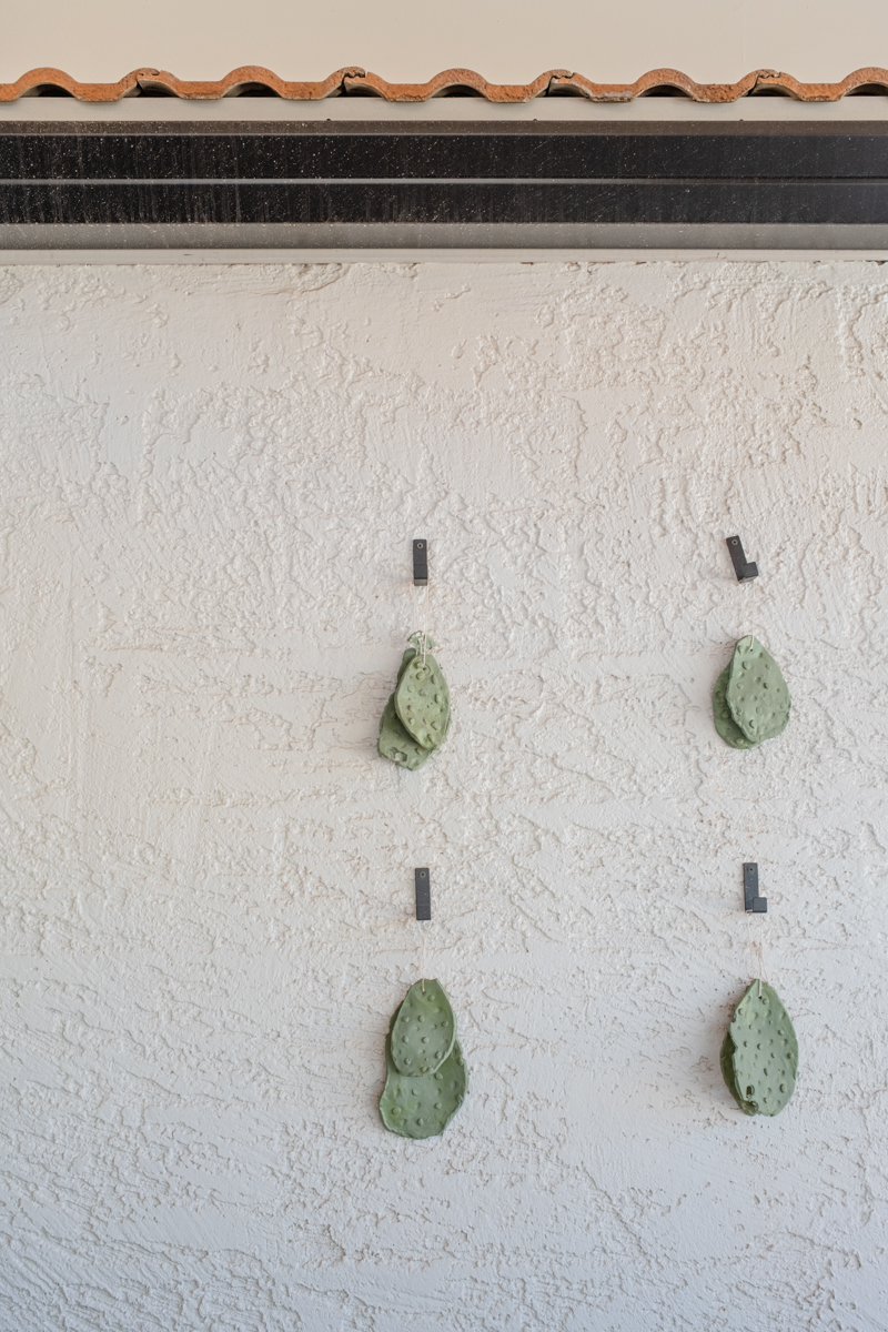 clay cactus pads hanging on wall