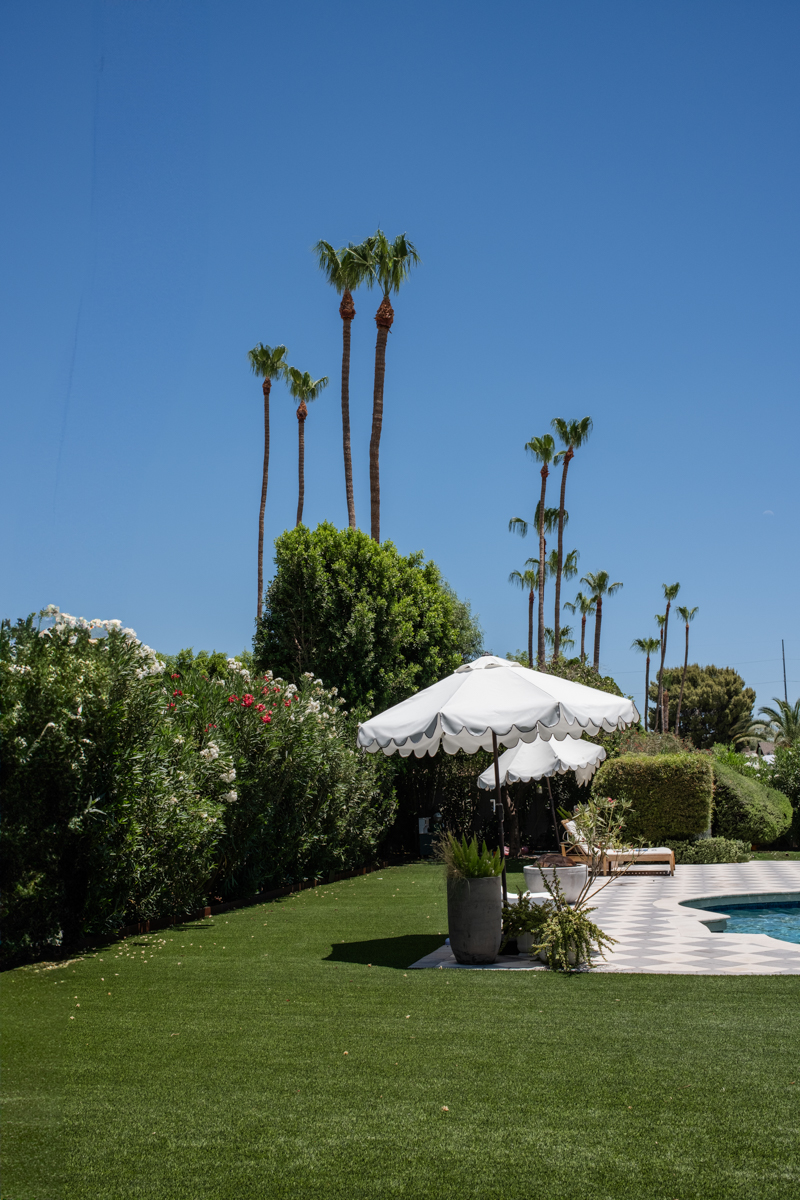 Phoenix modern European backyard