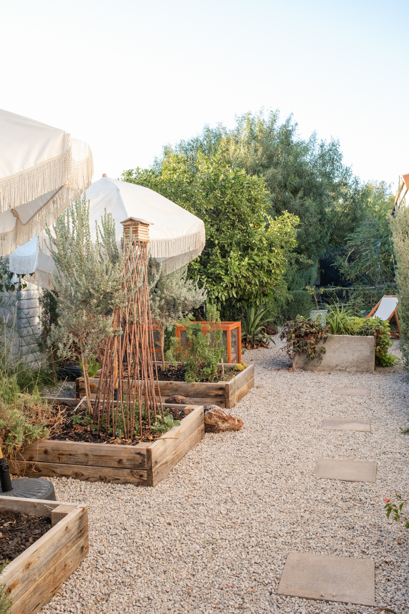 Phoenix Garden