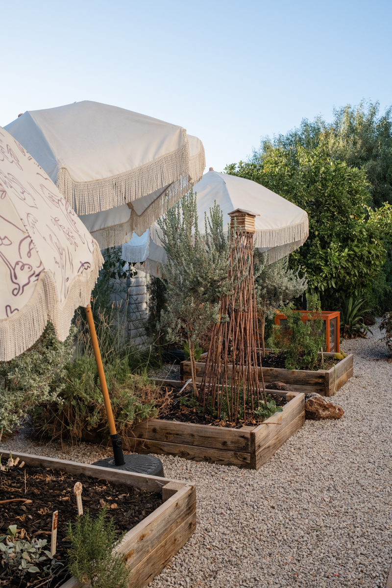 Phoenix Garden