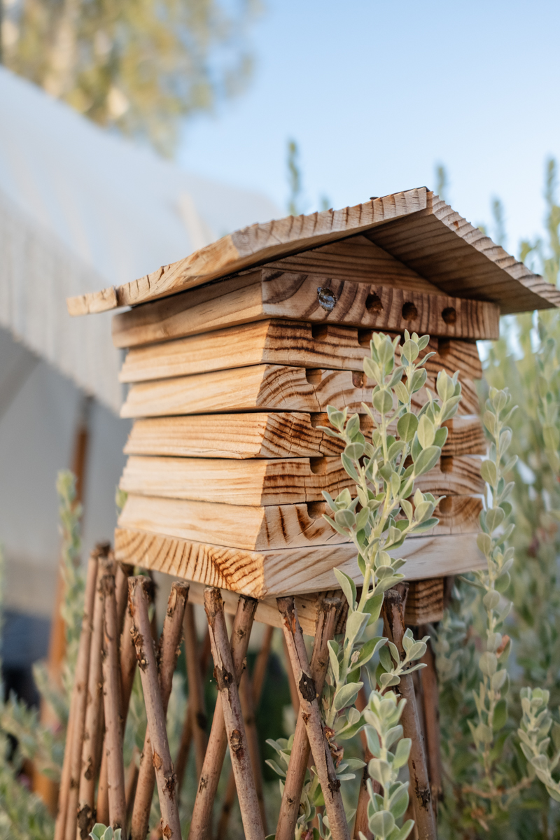 phoenix gardening