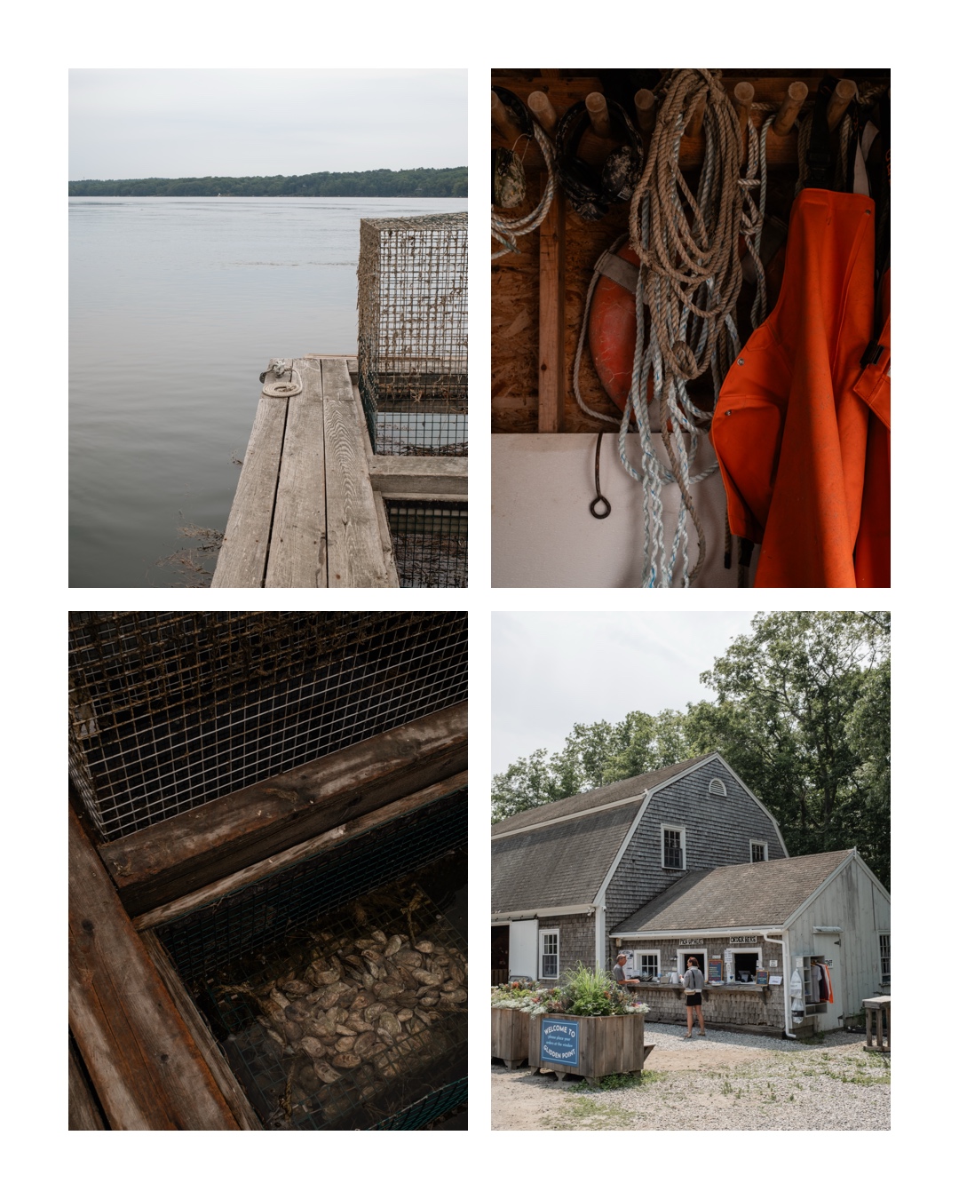 Glidden point oyster farm