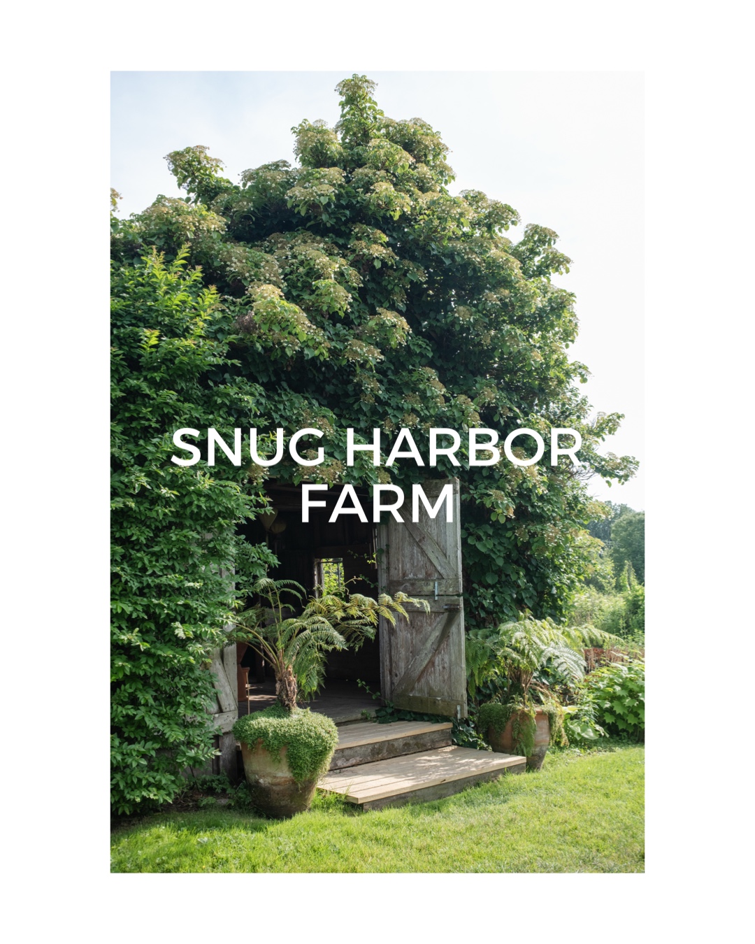 snug harbor farm Maine