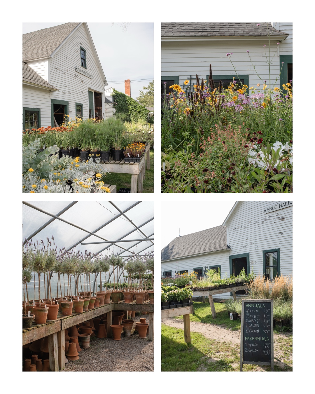 snug harbor farm Maine